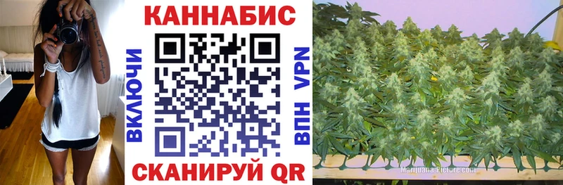 Наркотические вещества Дыгулыбгей Конопля  Галлюциногенные грибы  Гашиш  A PVP  Амфетамин 