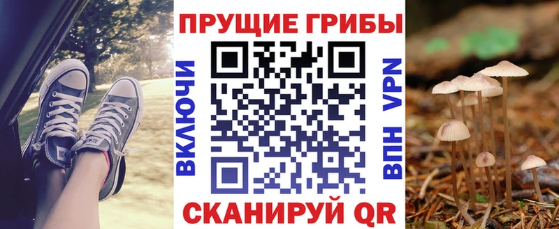 Псилоцибиновые грибы Magic Shrooms  Дыгулыбгей 